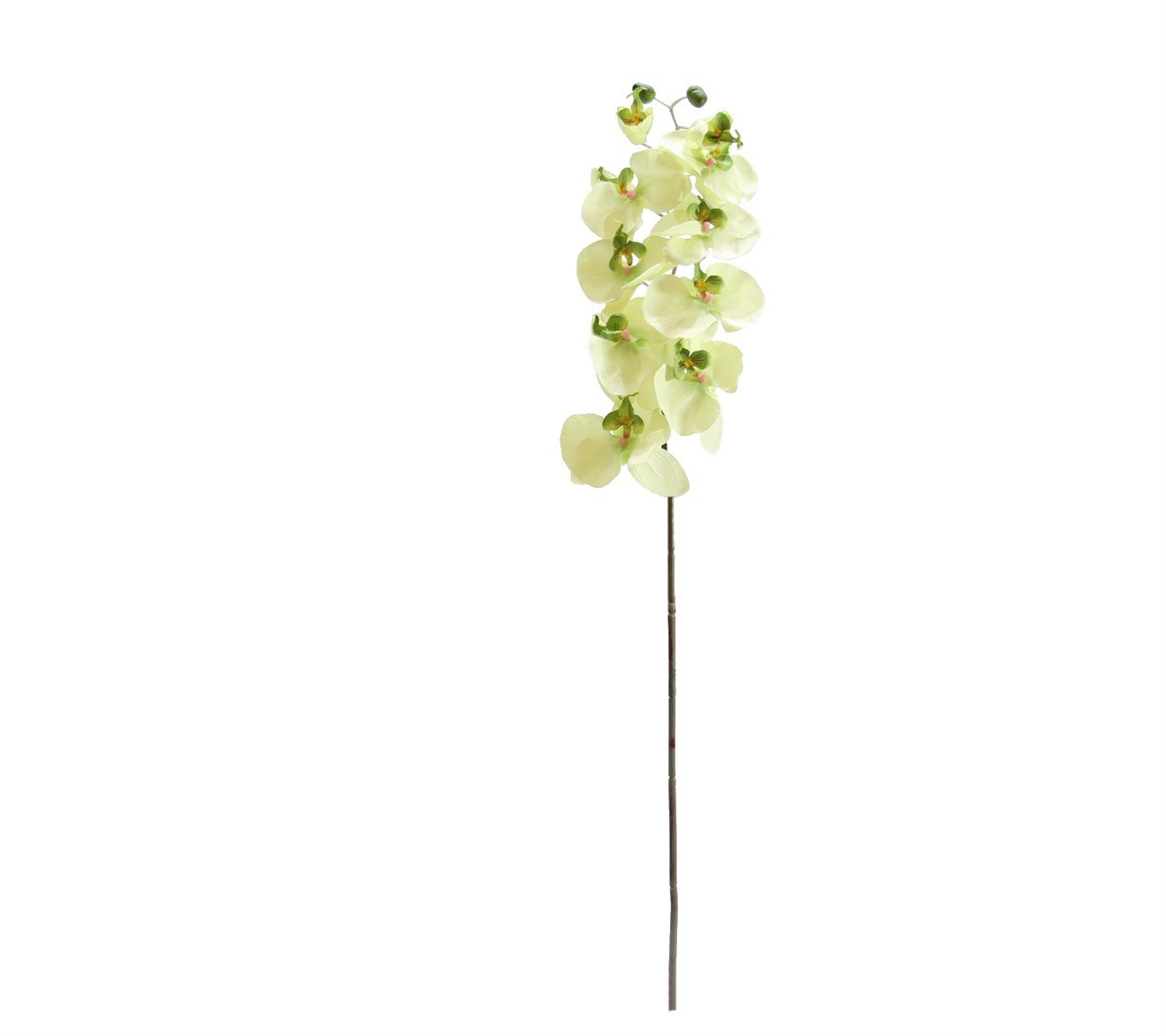 Artificial%20Hanging%20Orchid%20Light%20Green