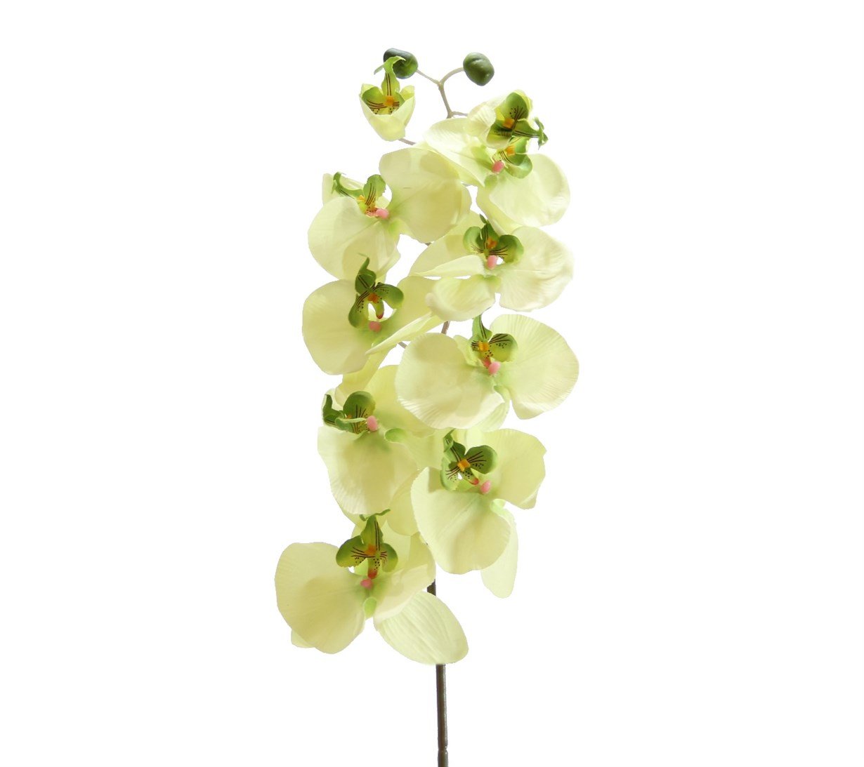 Artificial%20Hanging%20Orchid%20Light%20Green