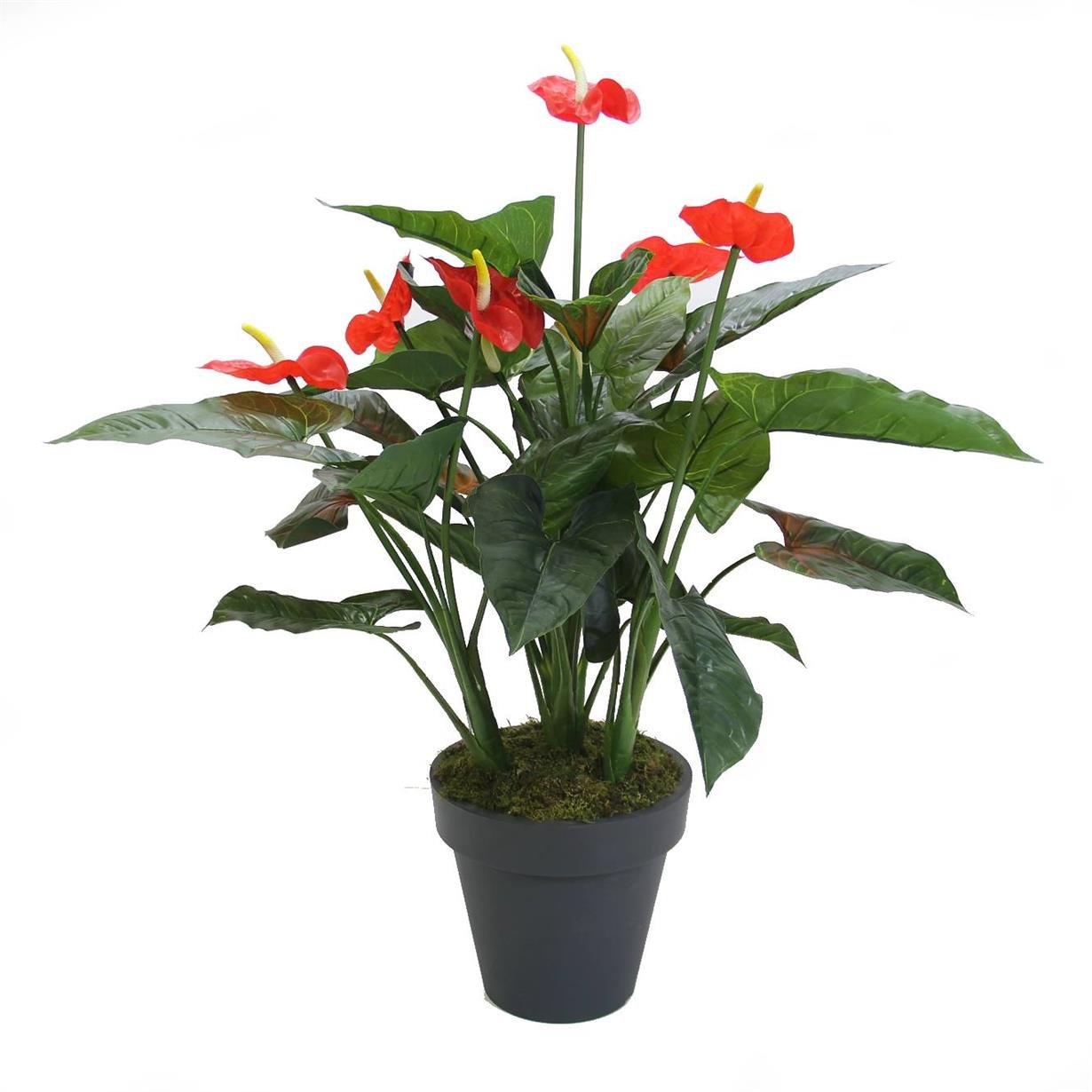 Artificial%20Anthurium%20Tree%20100%20Cm