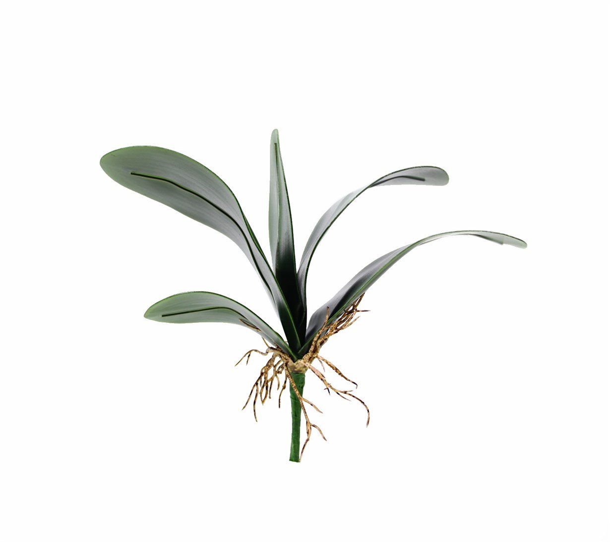 Artificial%20Orchid%20Leaf