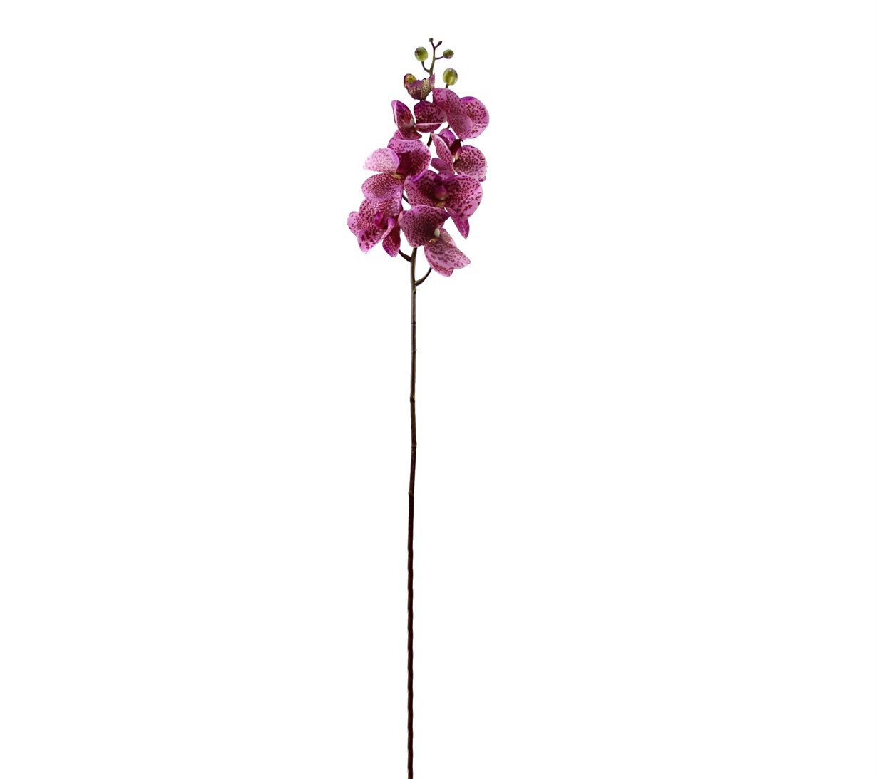 Artificial%20Orchid%20Branch%20Real%20Touch%20Purple%20Spotted%20Jumbo