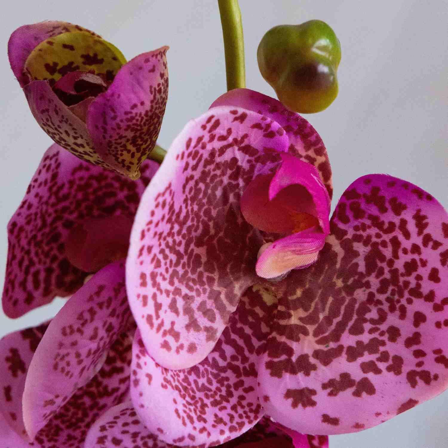 Artificial%20Orchid%20Branch%20Real%20Touch%20Purple%20Spotted%20Jumbo