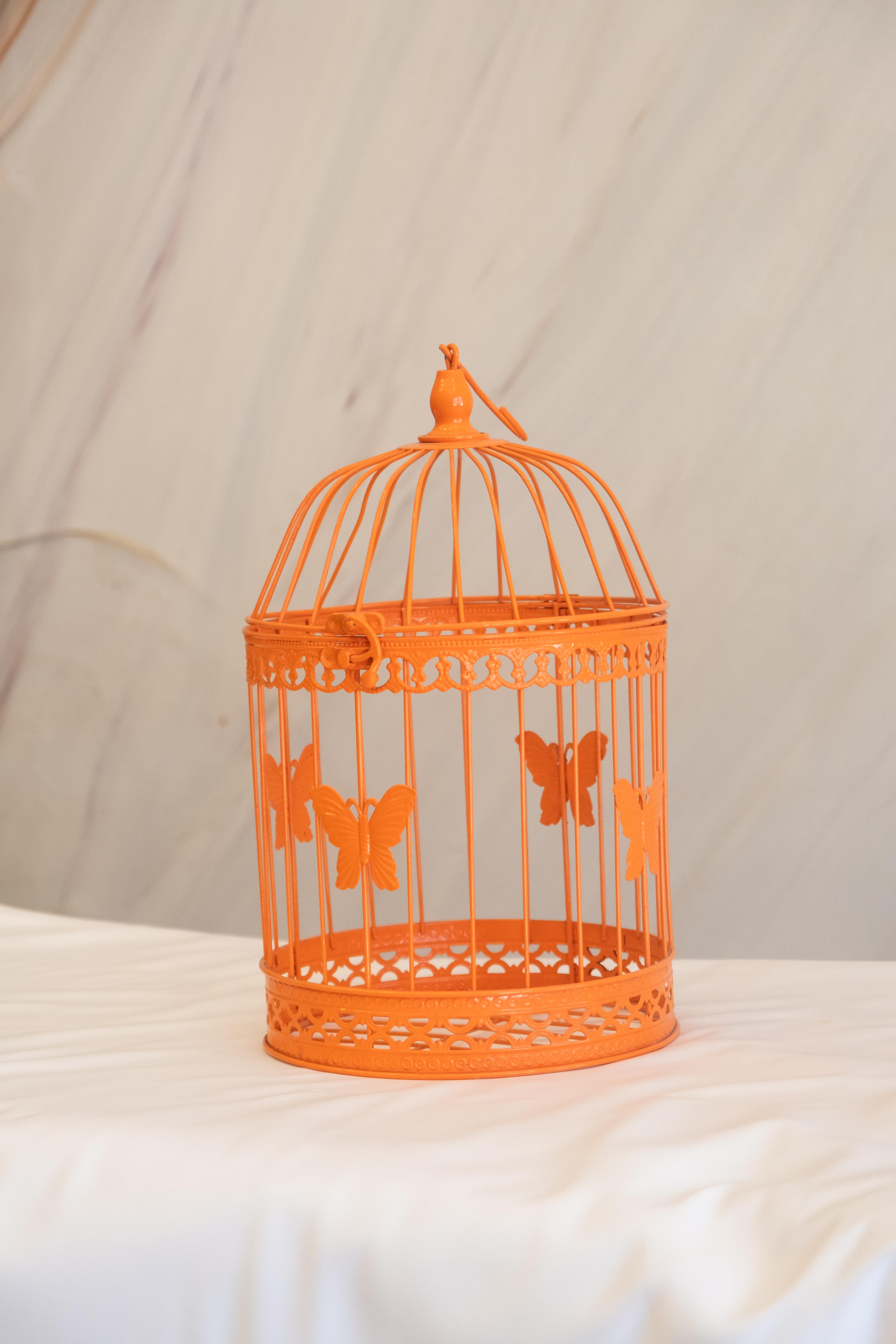 Large%20Wrought%20Iron%20Cage%20Orange