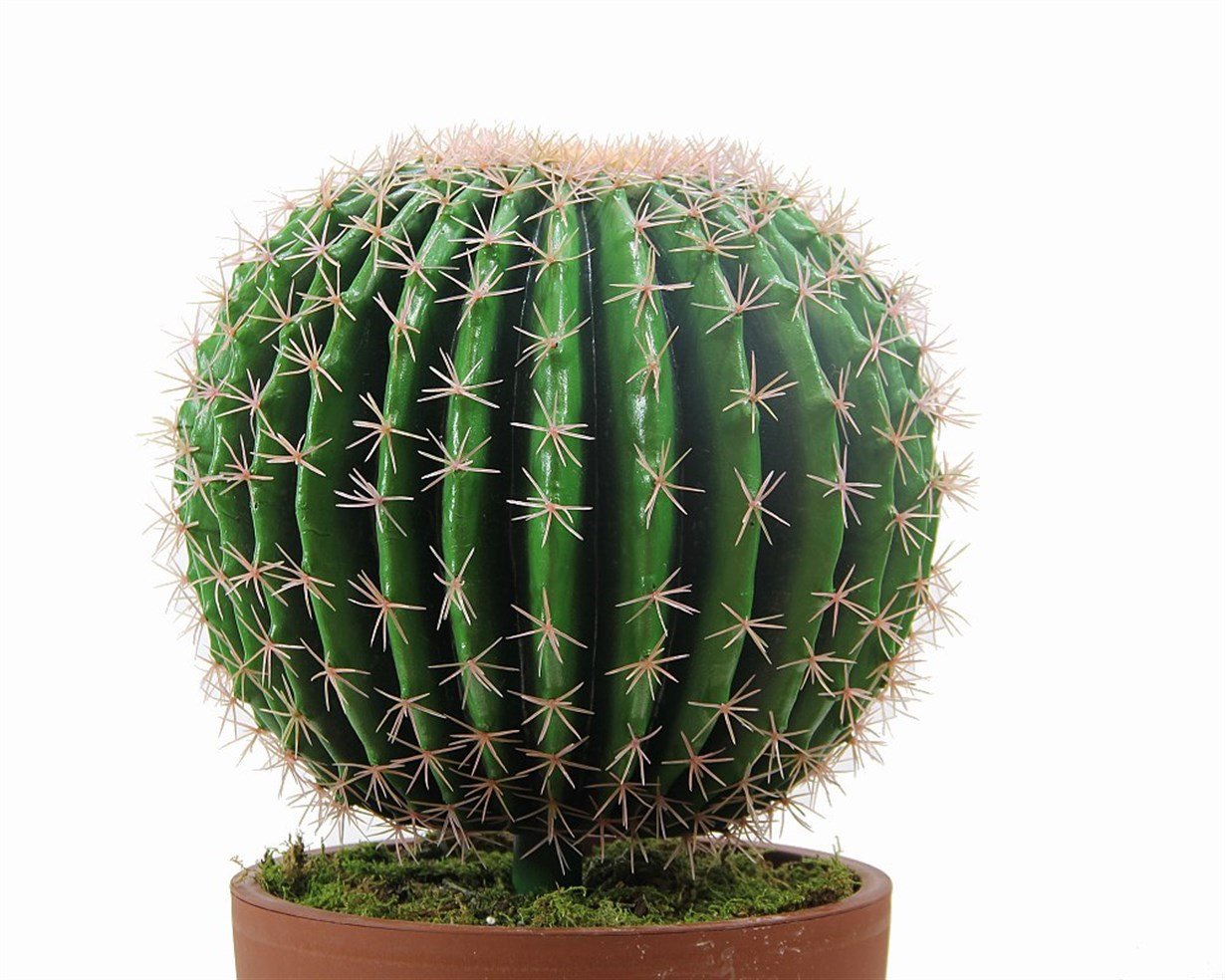 Artificial%20Golden%20Barrel%20Cactus%2055%20cm