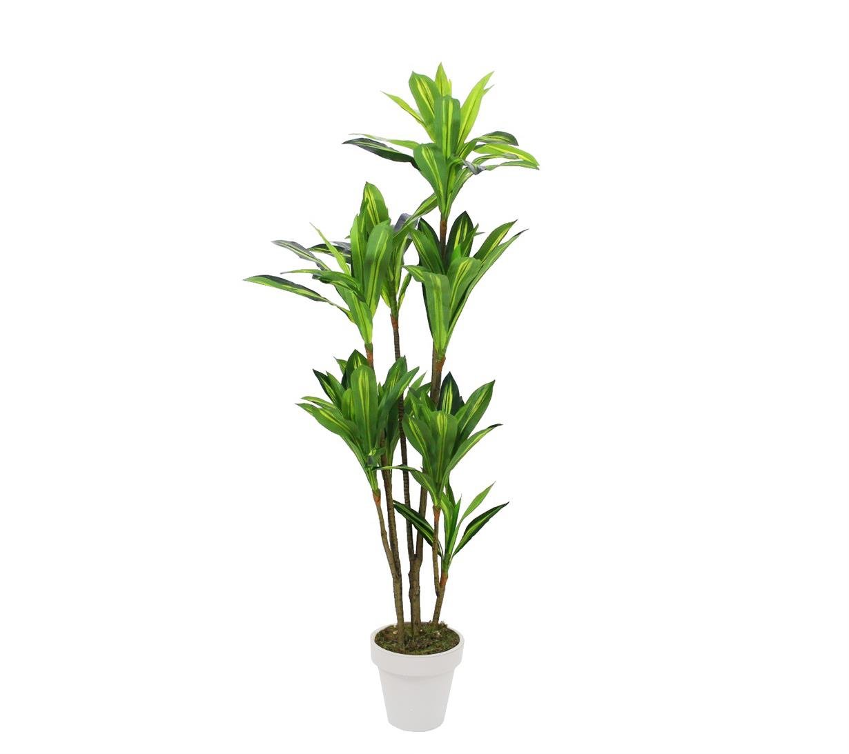 Artificial%20Drasena%20Tree%20200%20cm