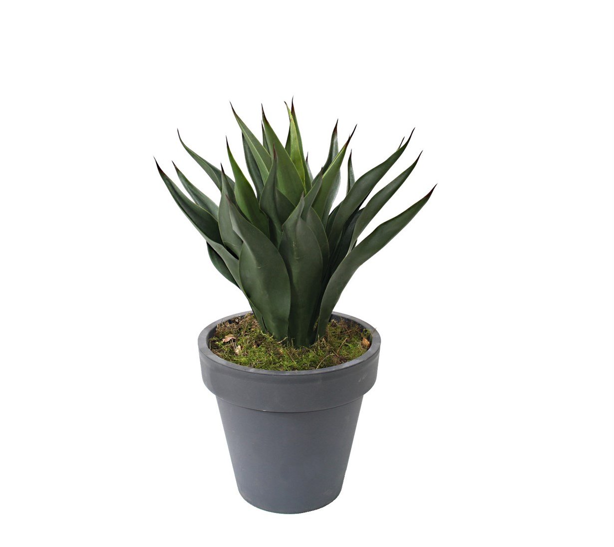 Yapay%20Agave%20Ağacı%2060%20cm