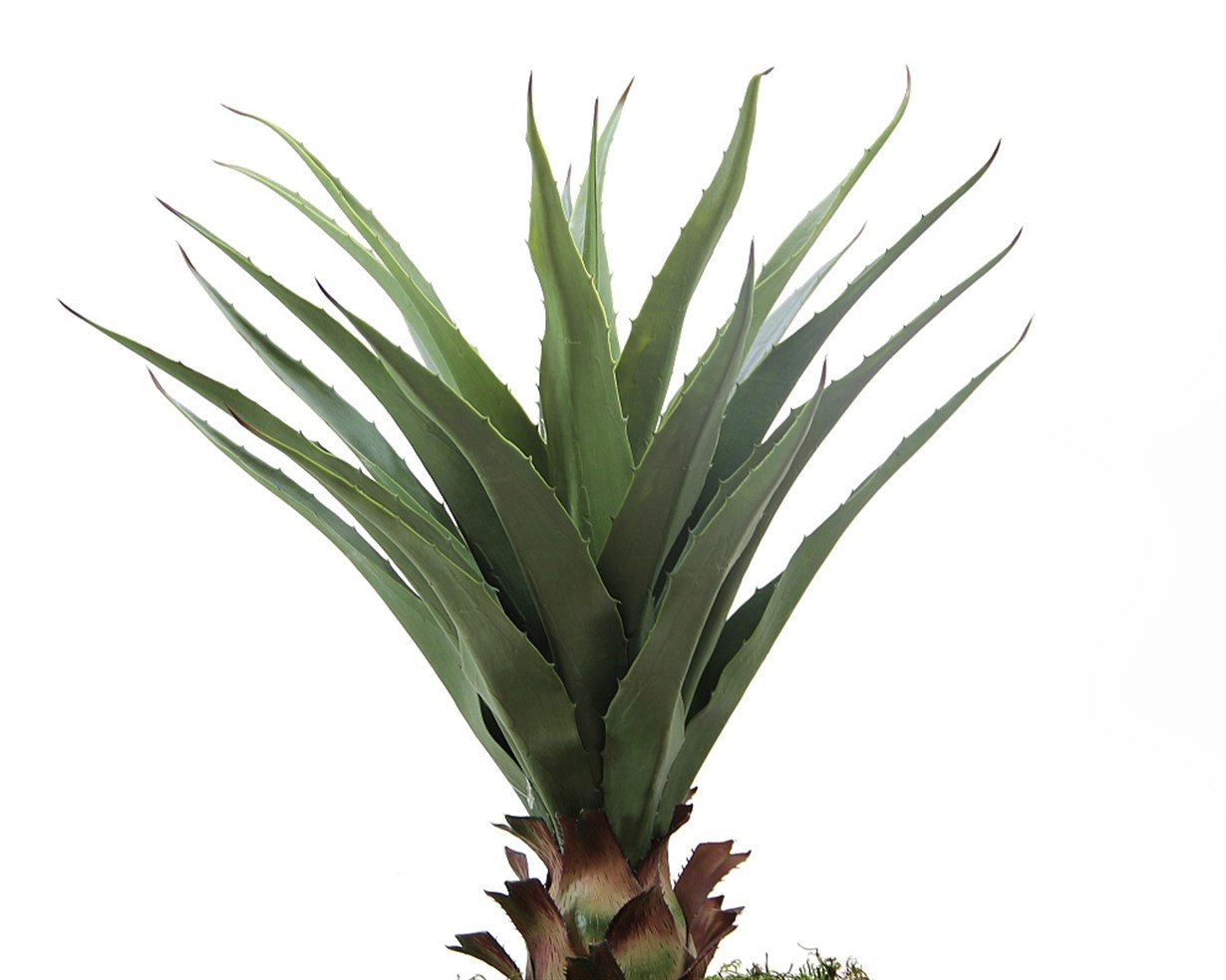 Artificial%20Agave%20Salmiana%20Tree%2075%20cm