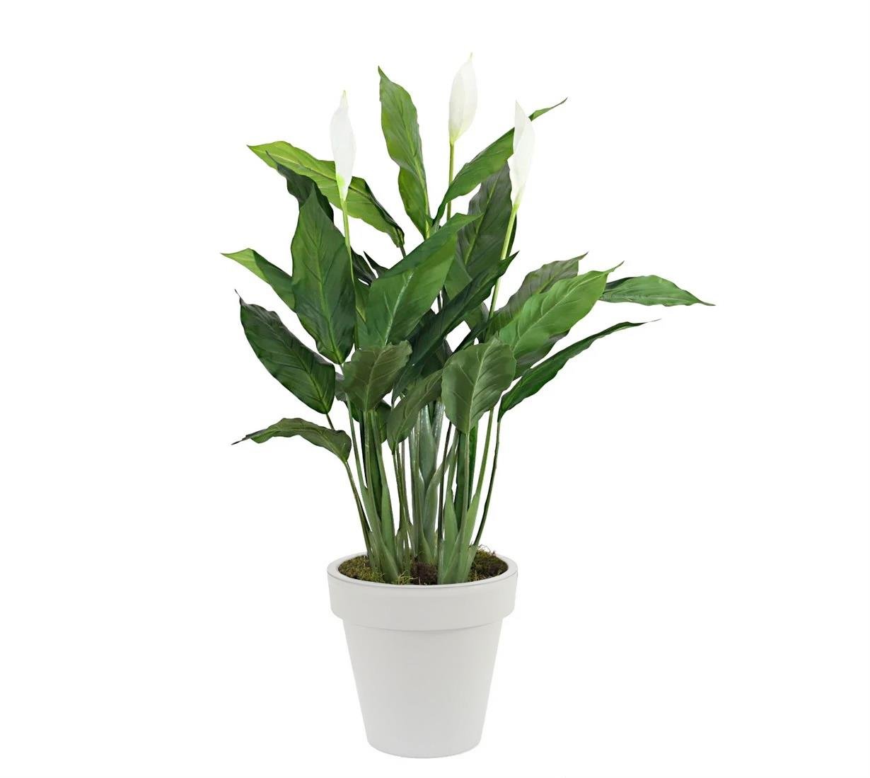 Artificial%20Spathiphyllum%20Flower%20110%20cm