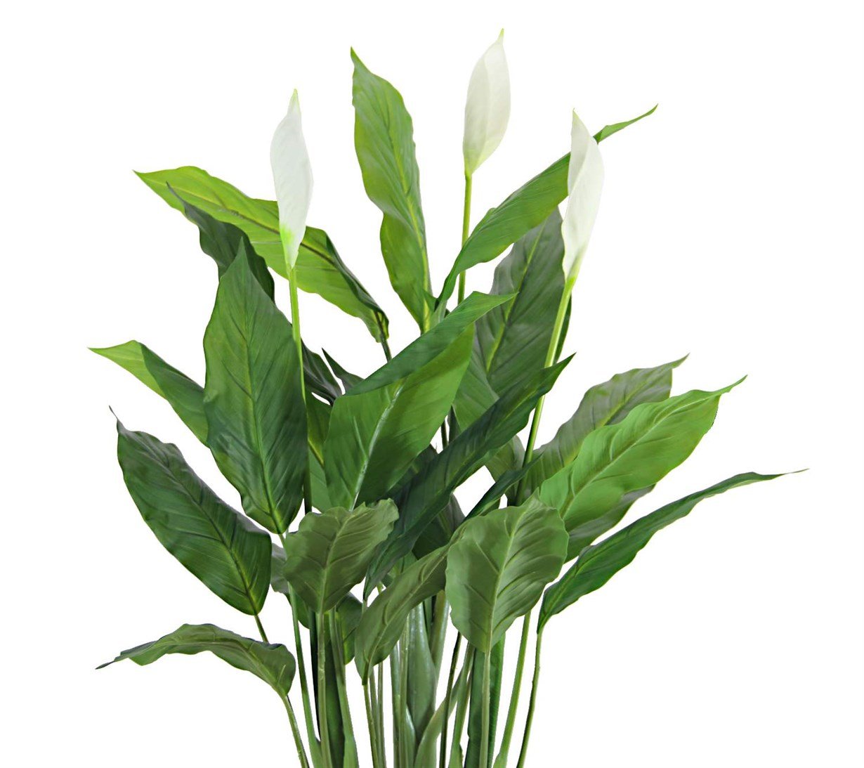 Artificial%20Spathiphyllum%20Flower%20110%20cm