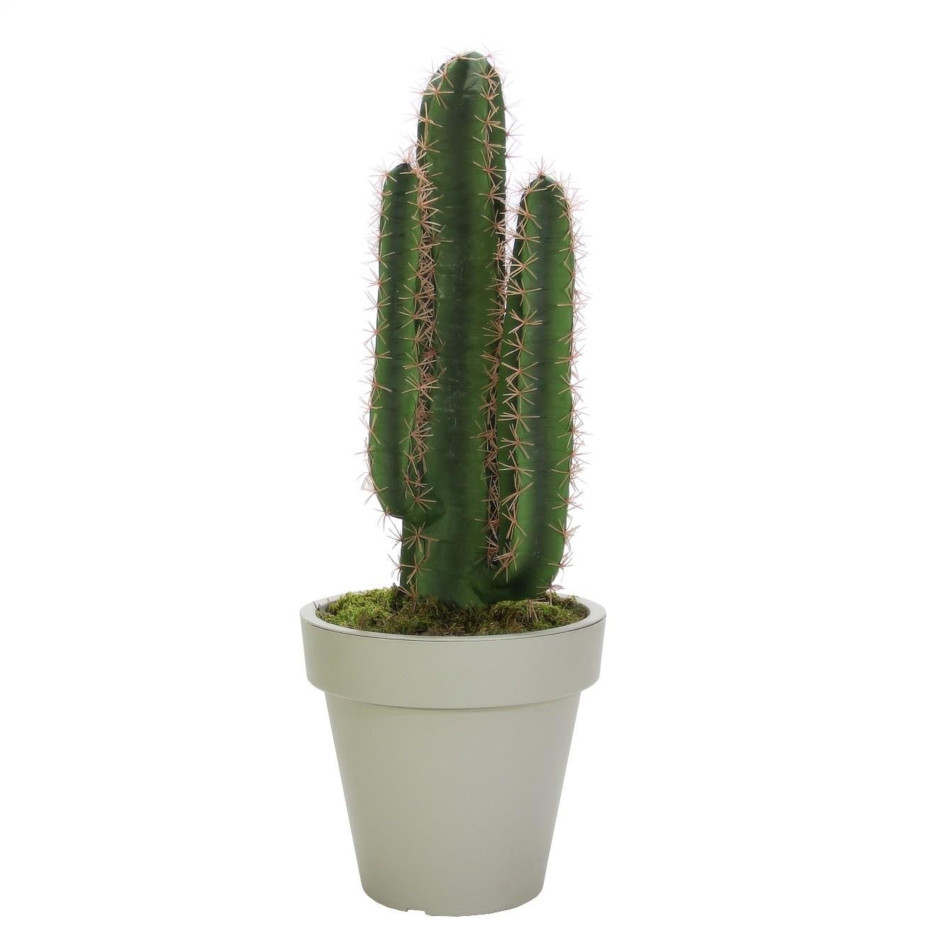 Artificial%20Cactus%20Small%2080%20Cm