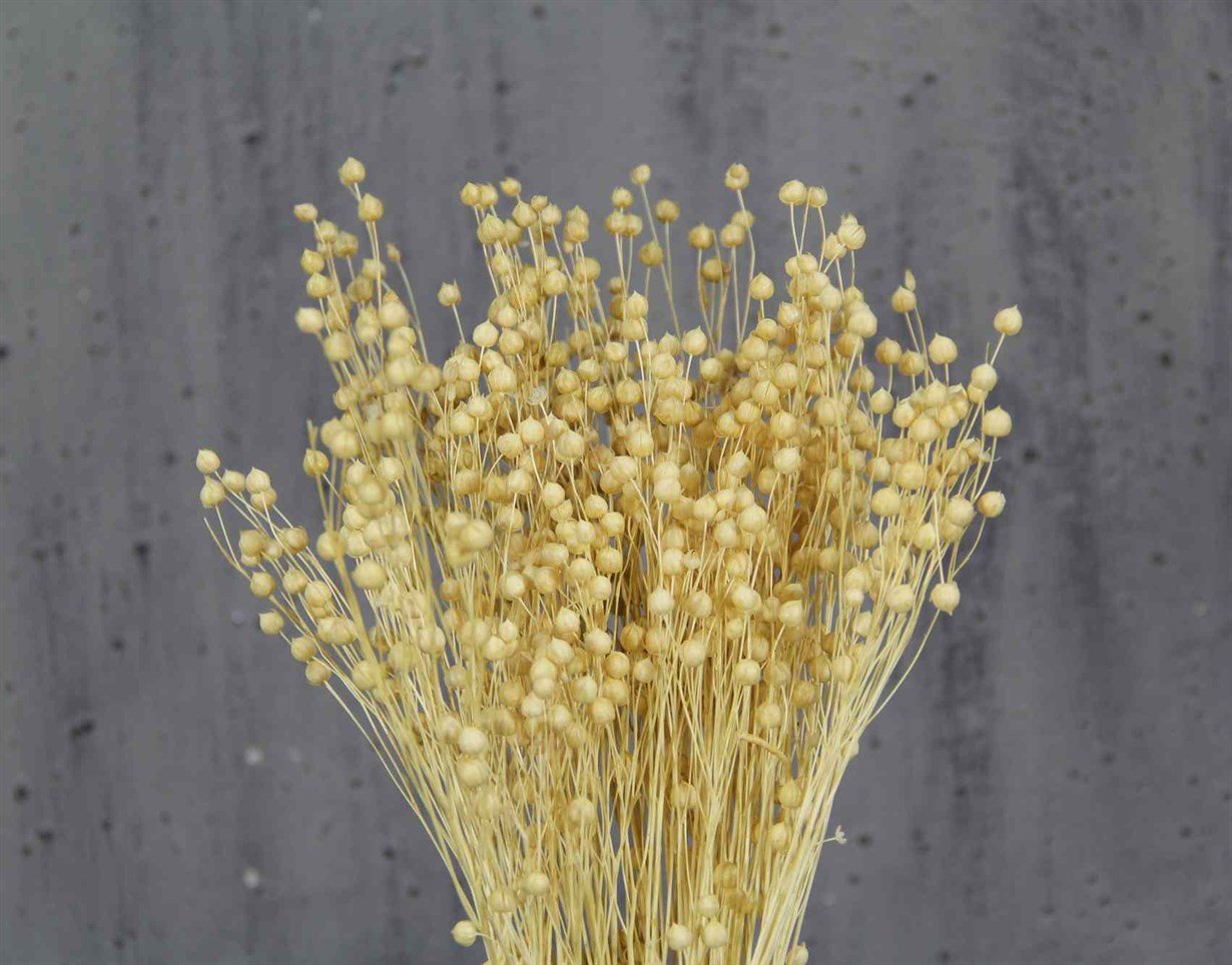 Dried%20Luna%20(Flax)%20Bunch%20Natural