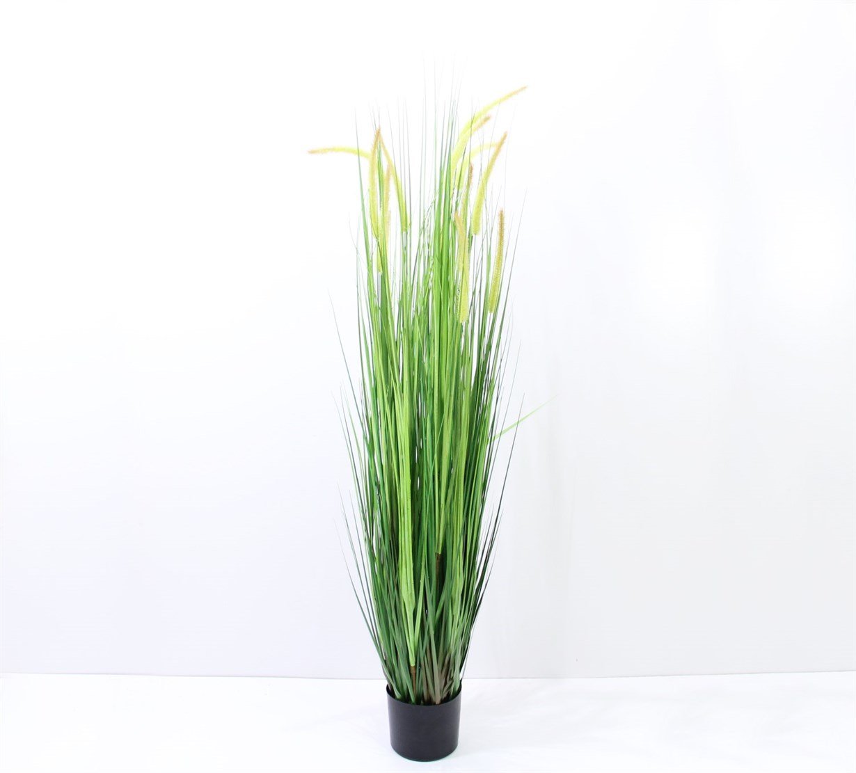 Artificial%20Ceteria%20Pot%20150%20cm