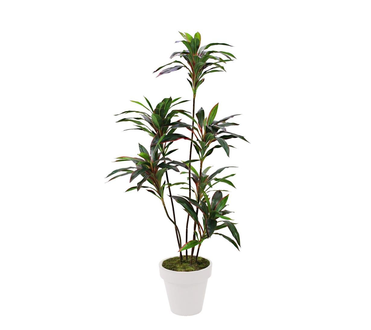 Artificial%20Drasena%20Tree%20Red%20150%20cm