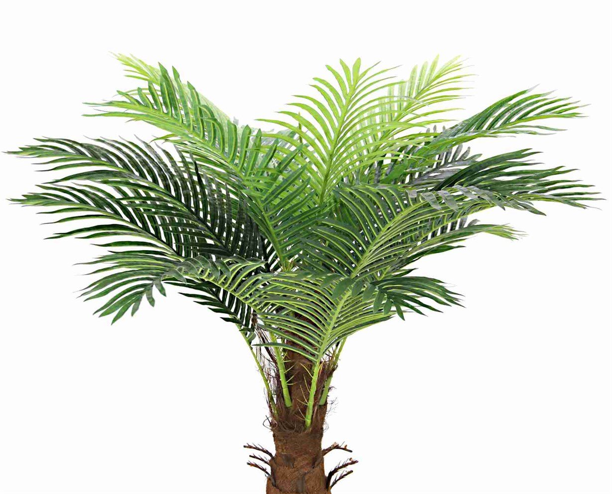 Artificial%20Areca%20Palm%20Tree%20180%20cm