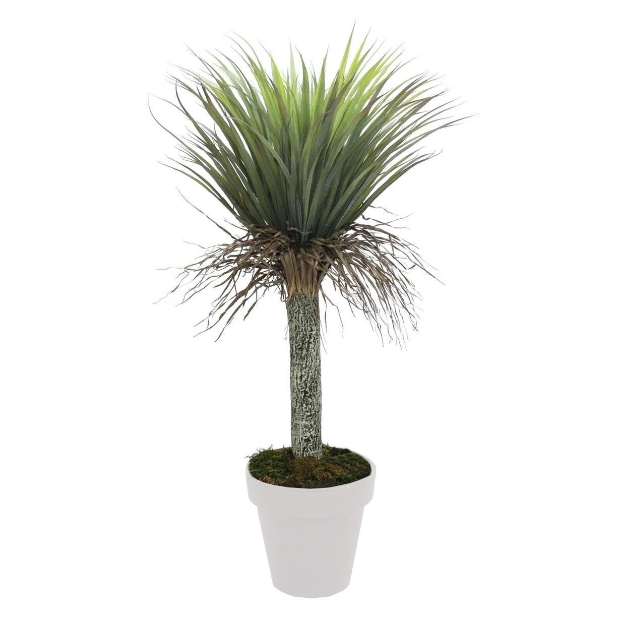 Artificial%20Nolina%20Tree%20115%20cm