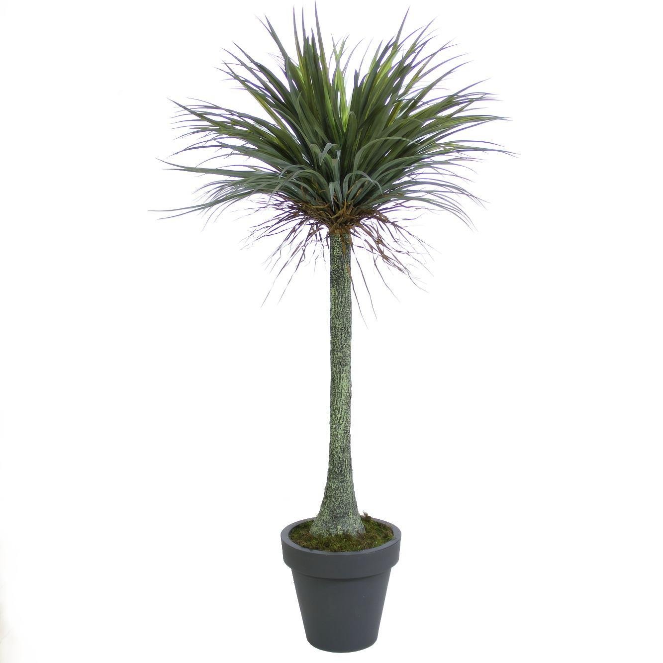 Artificial%20Nolina%20Tree%20190%20cm