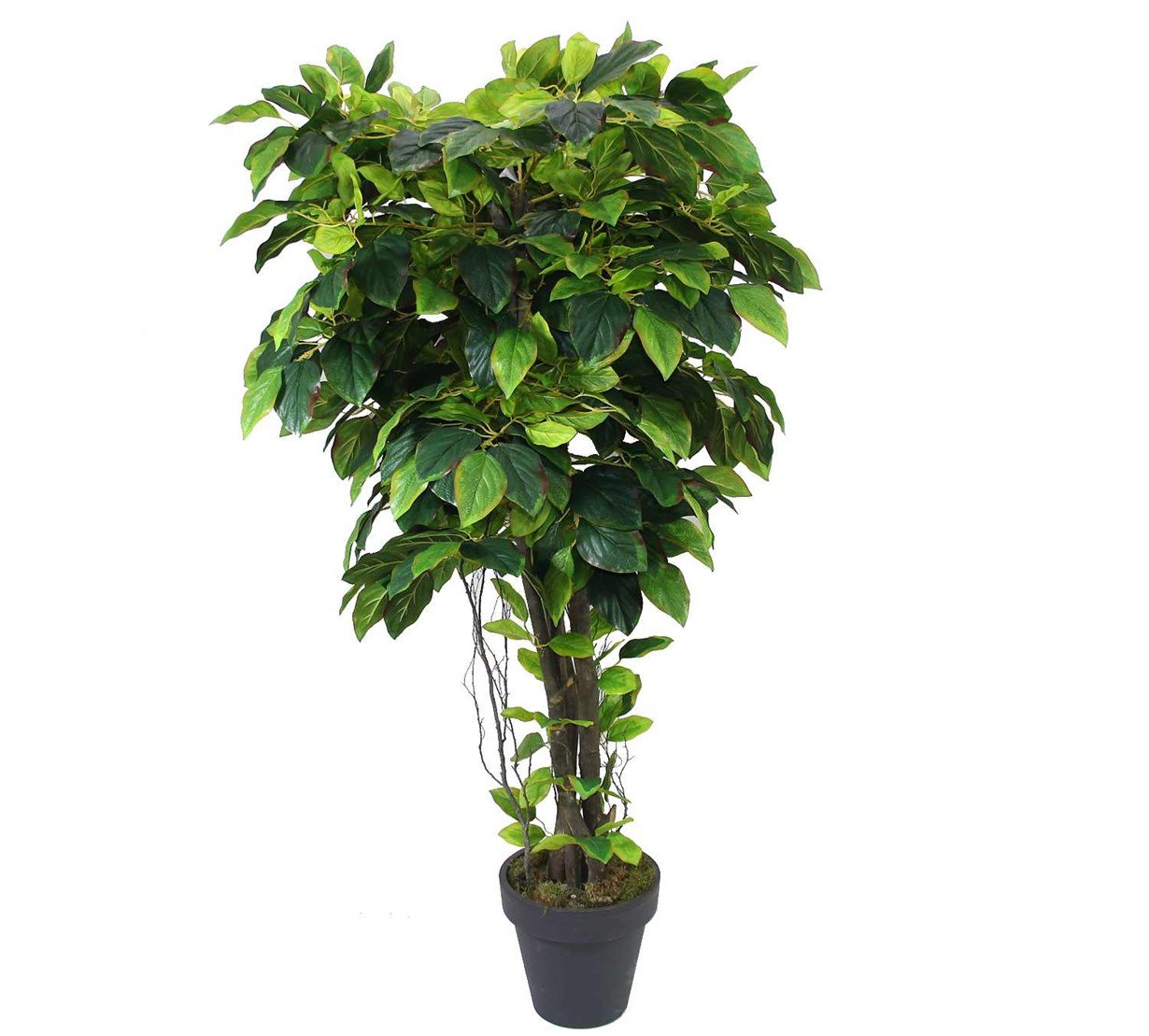 Artificial%20Mango%20Tree%20Variegated%20Green%20170%20cm