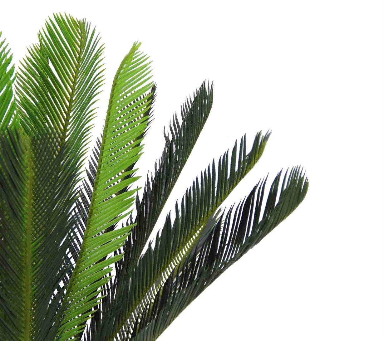 Yapay%20Cycas%20Ağacı%20130%20cm