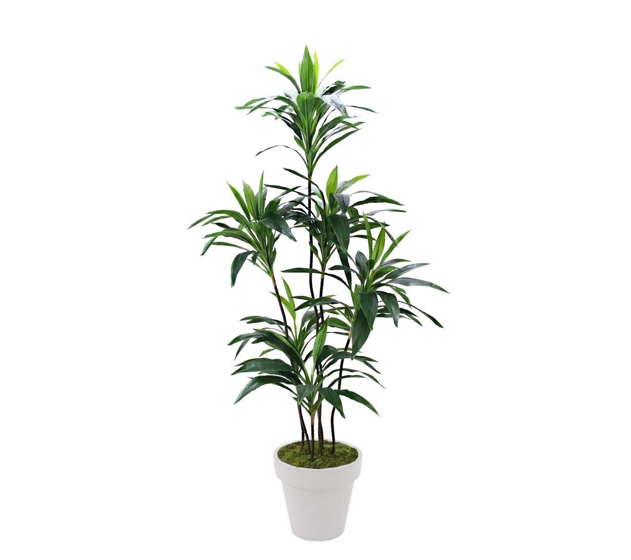 Artificial%20Dracena%20Tree%20155%20cm