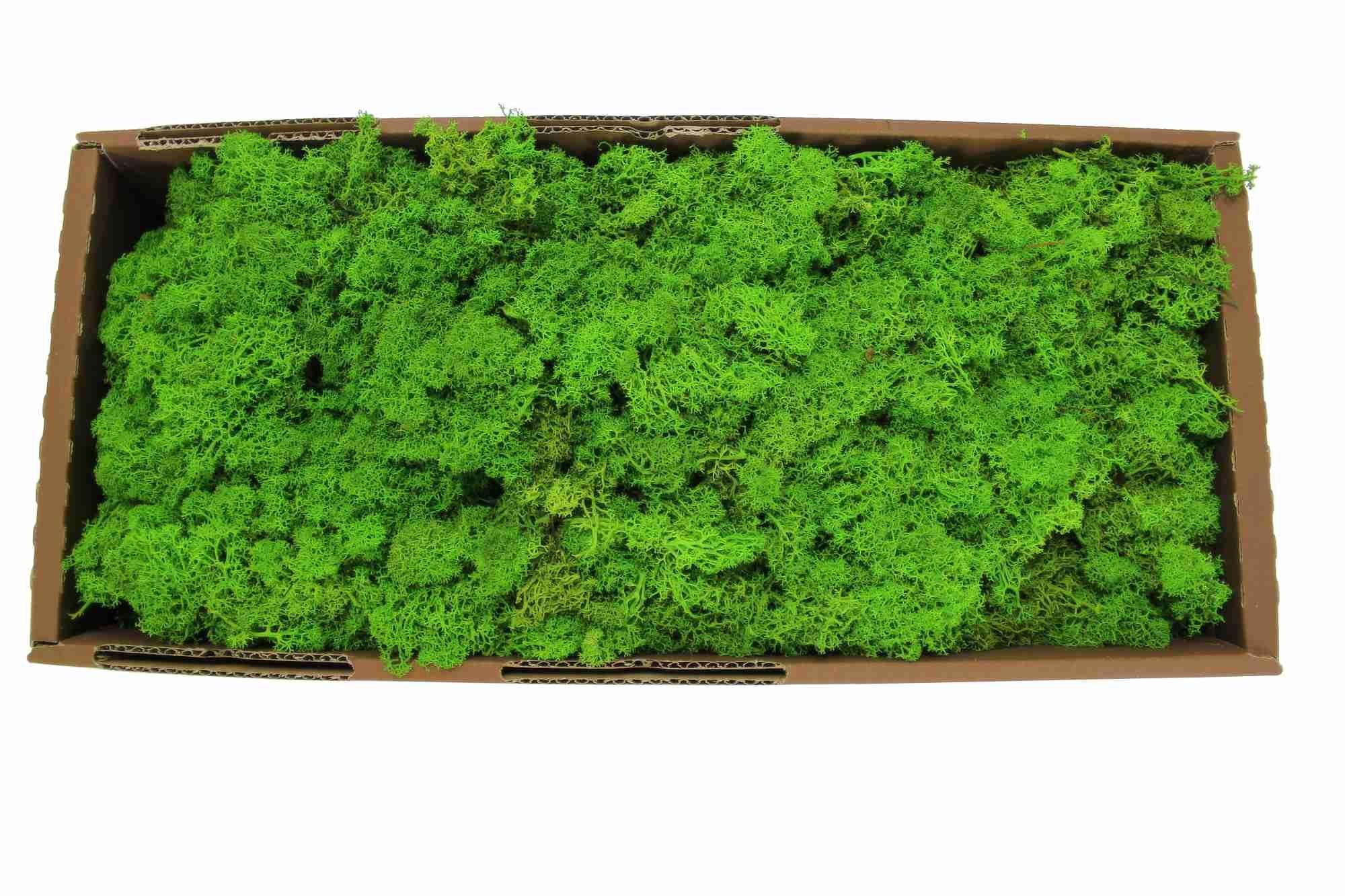 İthal%20Moss%20Yosun%201500%20Gram%20Model%204