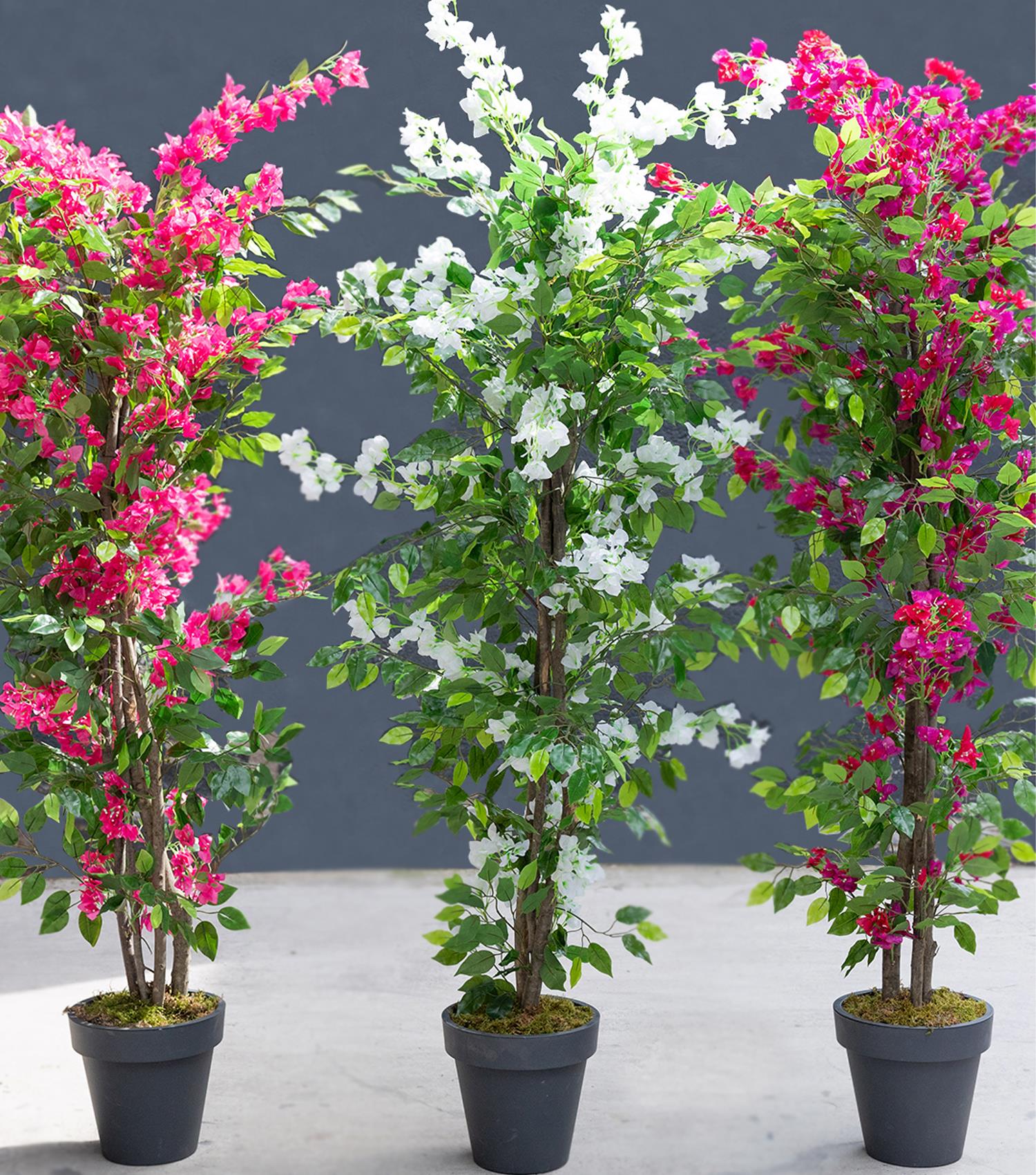 Artificial%20Pink%20Bougainvillea%20Tree%20170%20cm