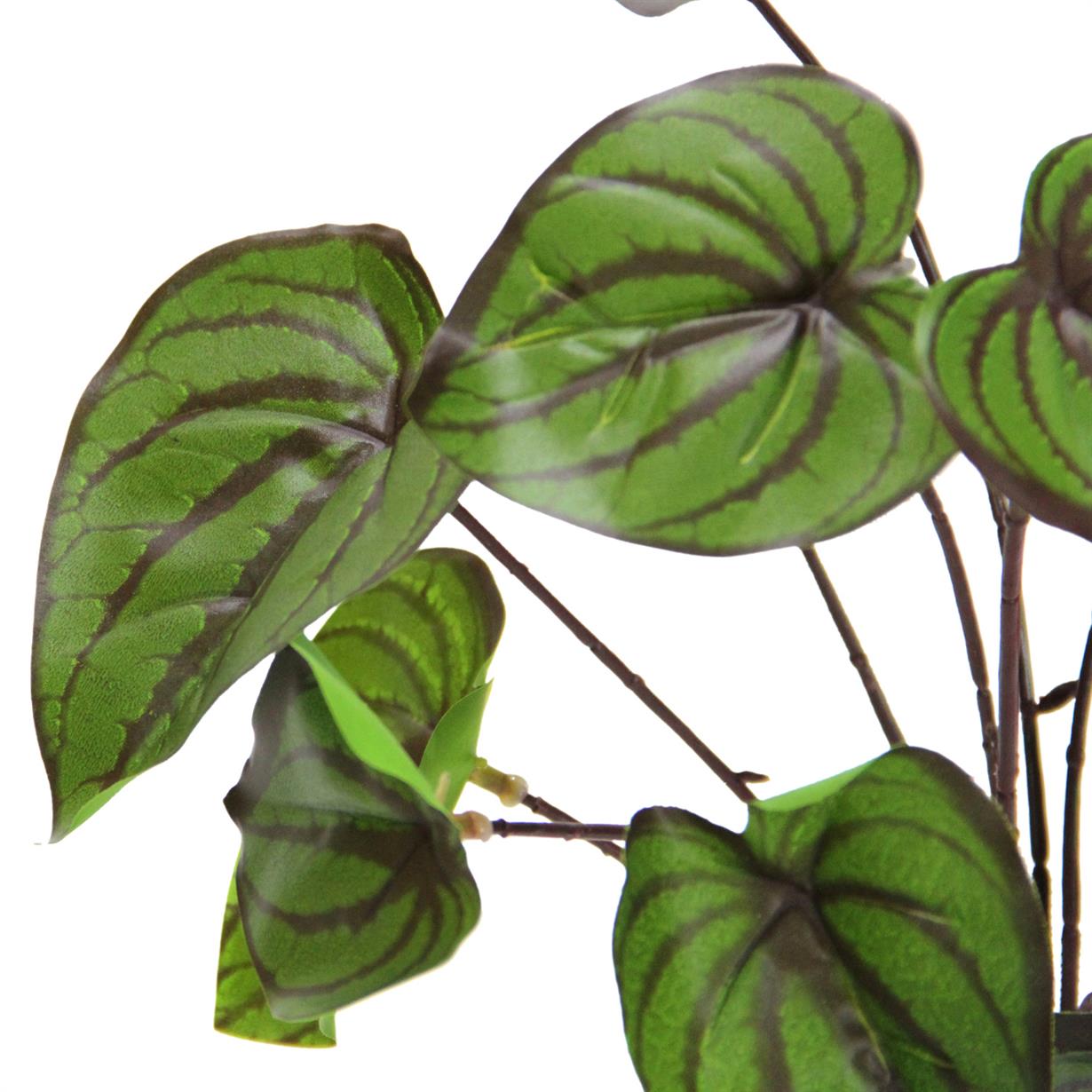 Artificial%20Veined%20Syngonium%20Bunch%2025%20cm