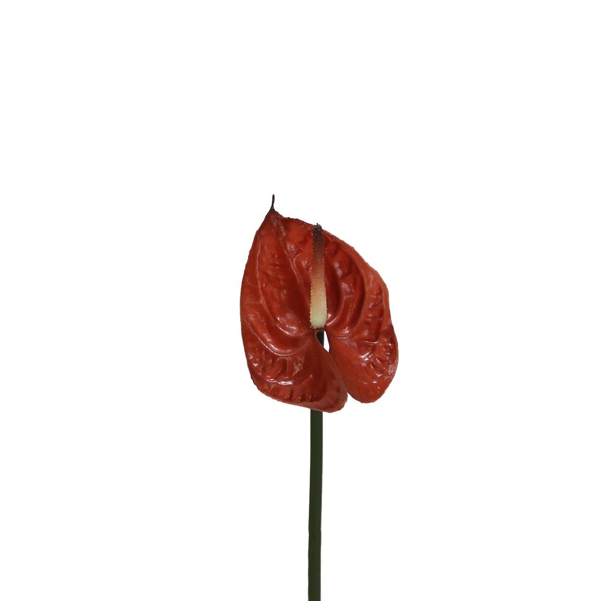 Artificial%20Anthurium%20Flower%20Vivid%20Touch%20Brown%2040%20cm