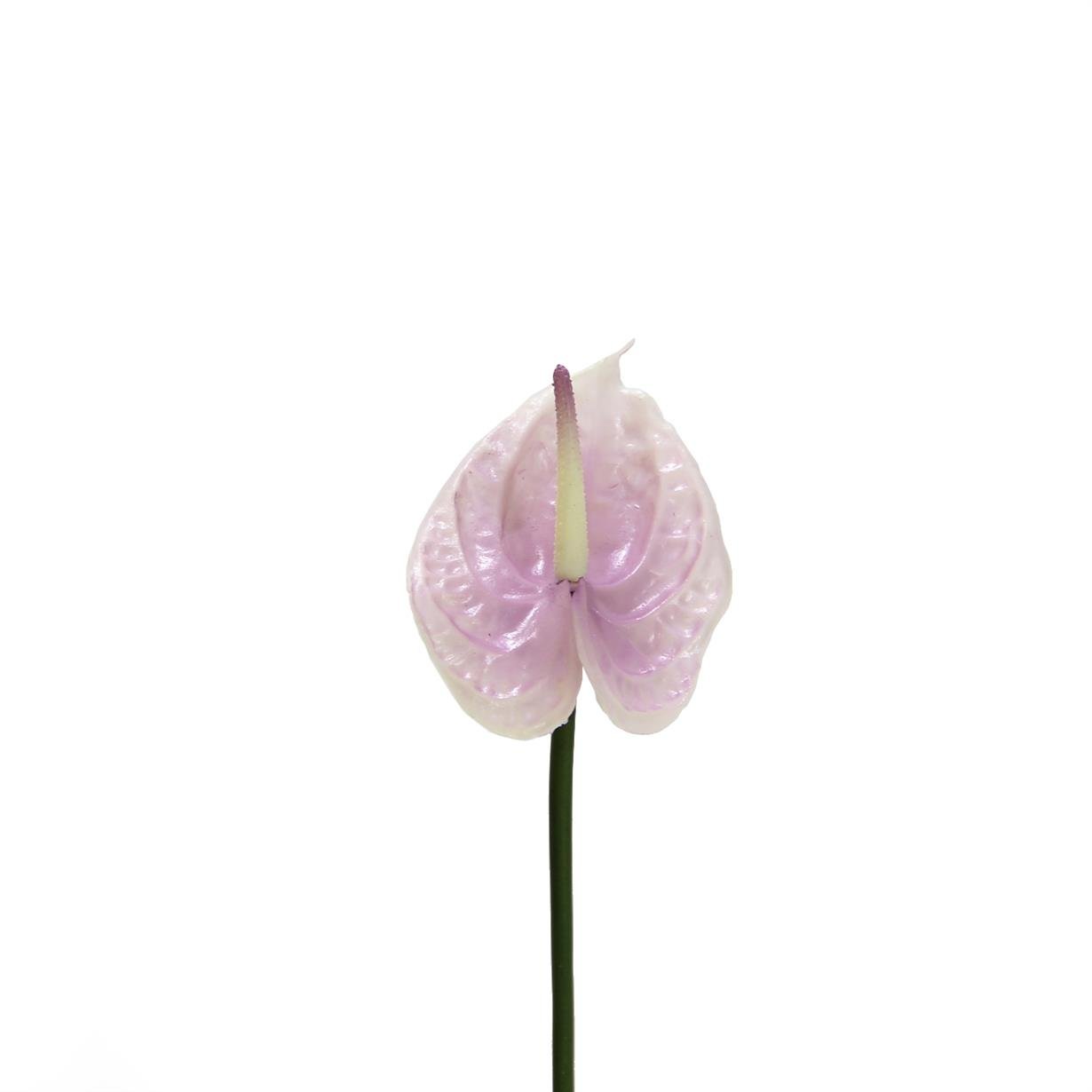 Artificial%20Anthurium%20Flower%20Vivid%20Touch%20Lilac%2040%20cm