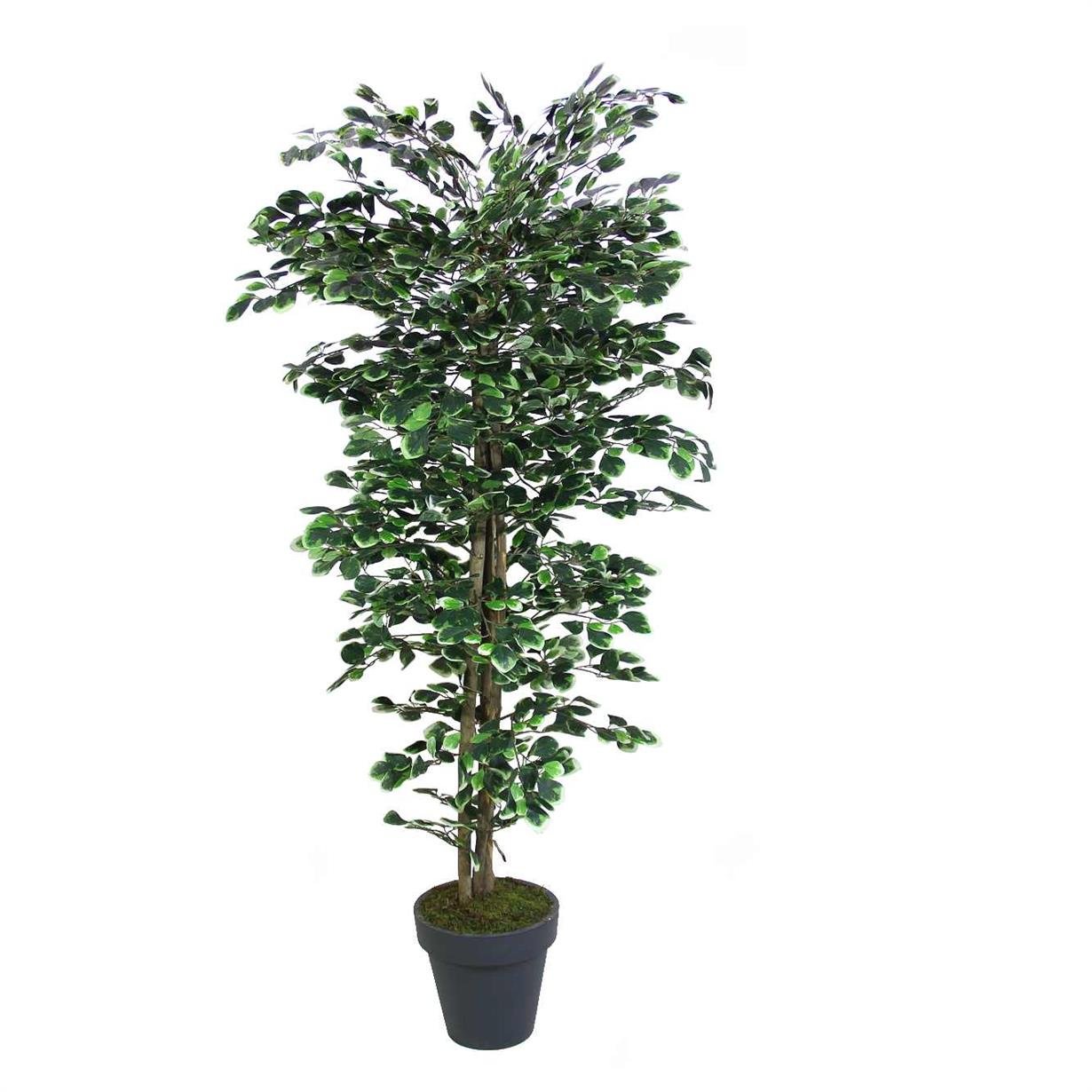 Artificial%20Pachira%20Tree%20Variegated%20170%20cm