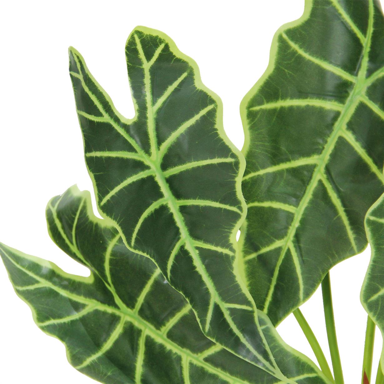 Artificial%20Alocasia%20Bunch%2065%20cm