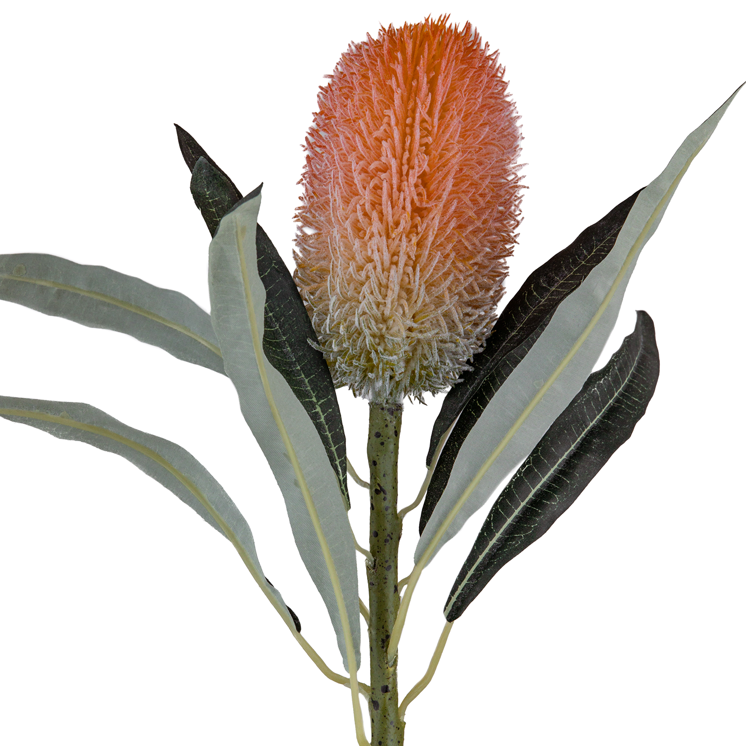 Artificial%20Banksia%20Branch%20Orange%2073%20cm