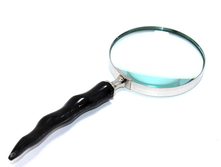 Horn%20Magnifier%20Sl406