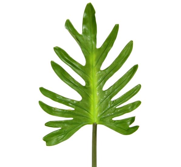 Artificial Camel Sole Leaf