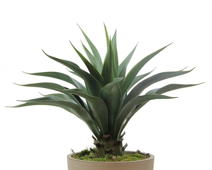 Artificial Agave Tree 60 cm