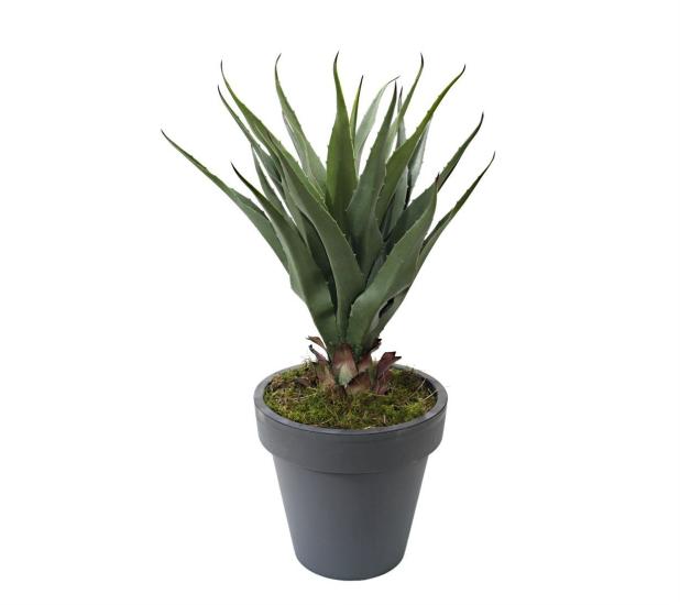 Artificial Agave Salmiana Tree 75 cm