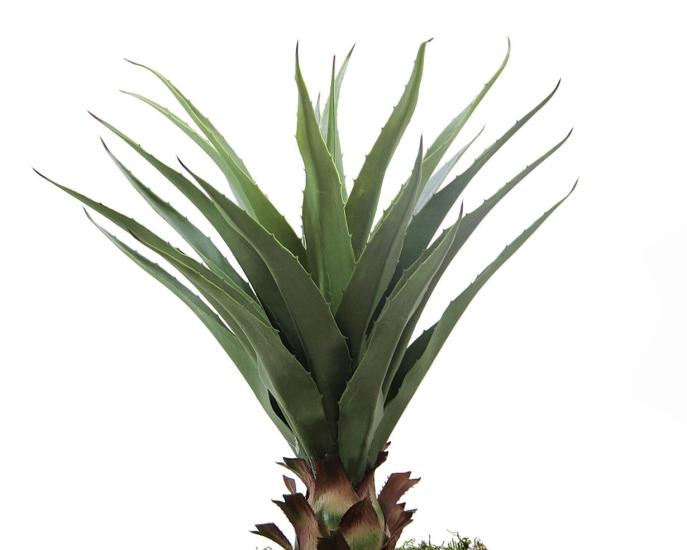 Artificial Agave Salmiana Tree 75 cm