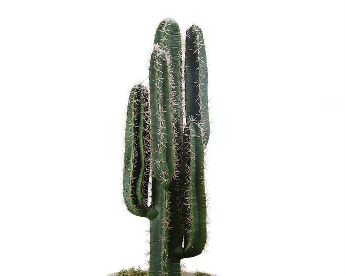 Artificial Cactus Large 110 cm