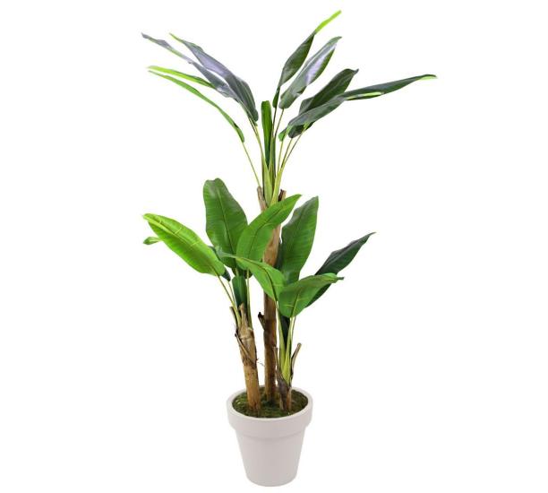 Artificial Banana Tree 200 cm