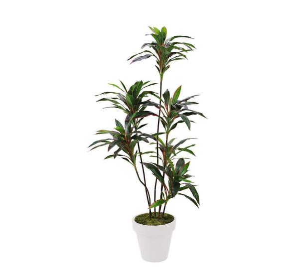 Artificial Drasena Tree Red 150 cm