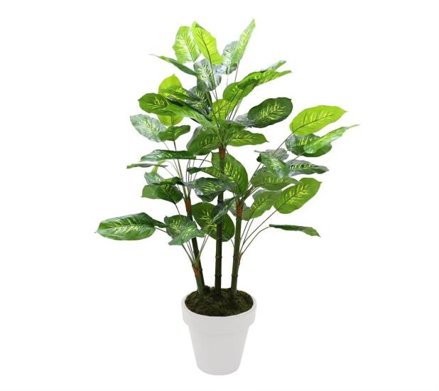 Artificial Dieffenbachia Tree 135 cm