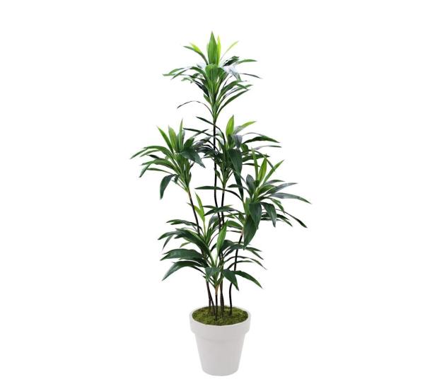 Artificial Dracena Tree 155 cm