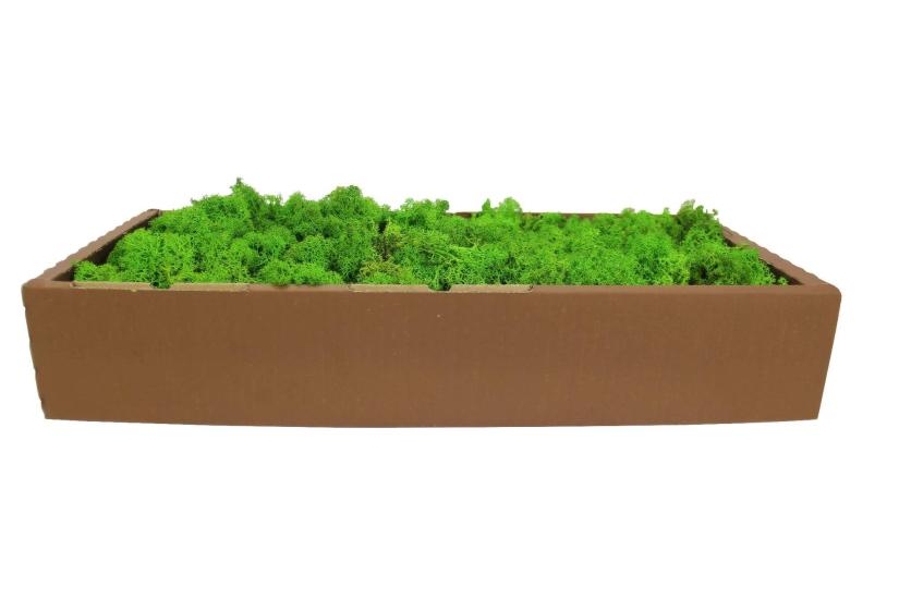 İthal Moss Yosun 1500 Gram Model 4