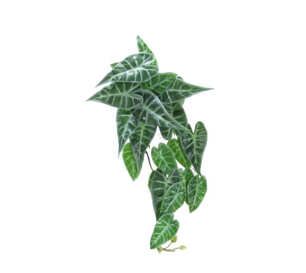 Artificial Caladium Ivy Bunch 55 cm