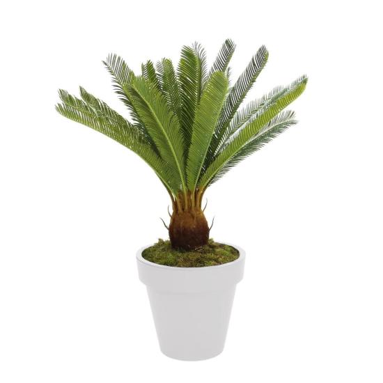 Artificial Cycas Tree 80 cm