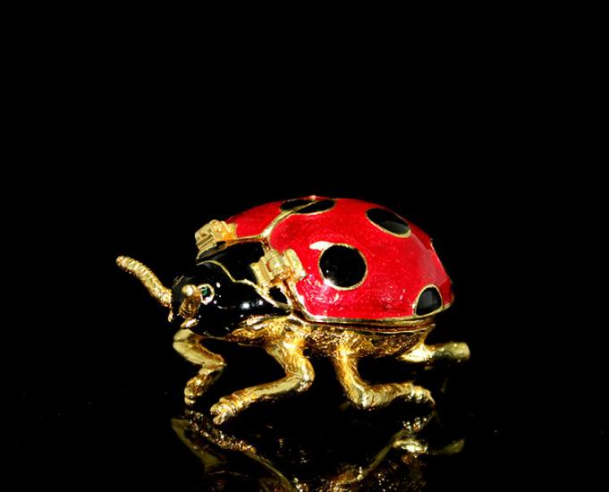 Swarozki Ladybug